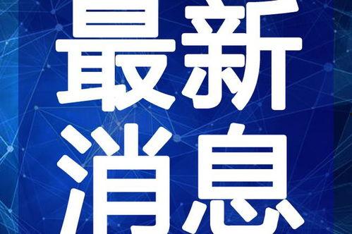 山哥热点爆料视频大全最新,揭秘最新视频大全背后的惊人真相